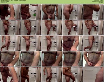 bigstick48