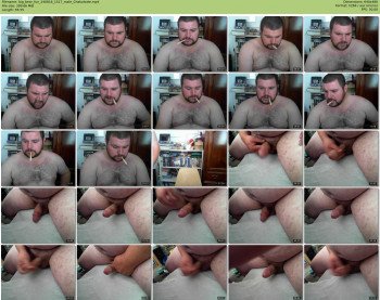 big_bear_fun