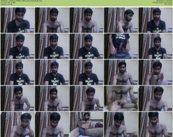 t_bhat13
