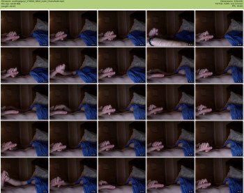 acollegeguy2
