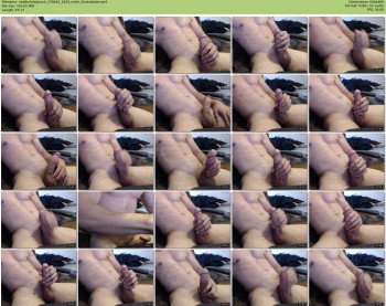 aestheticbigcock