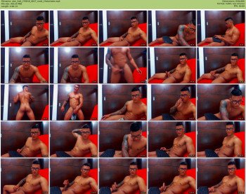 zion_hott