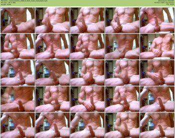commando445