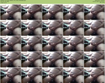 joe_2016