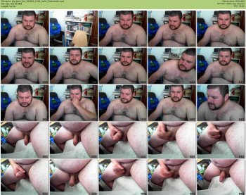 big_bear_fun