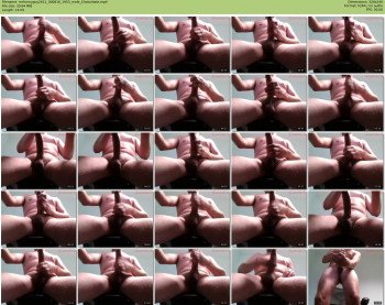 mrhornyguy2011