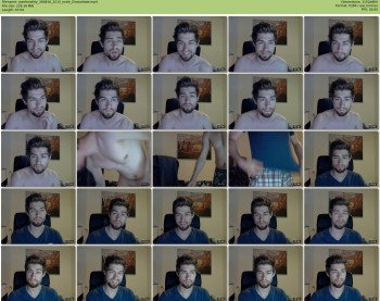 pwnforwildy