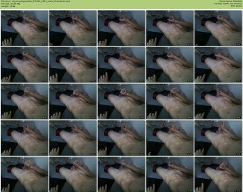 simonrodriguezdick