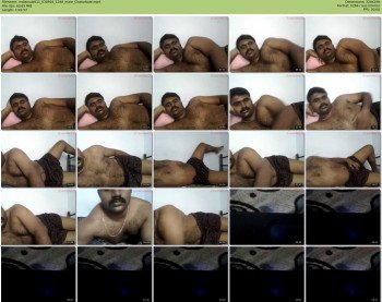 indiansub011