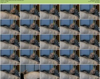 fun989
