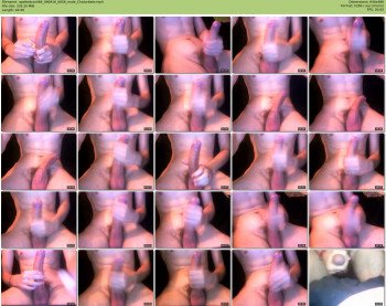 spottedcock66