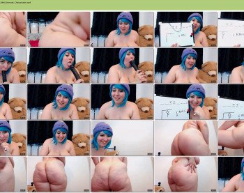 fishnethousepet