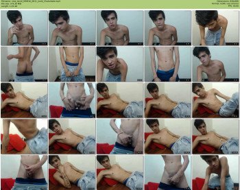new_david