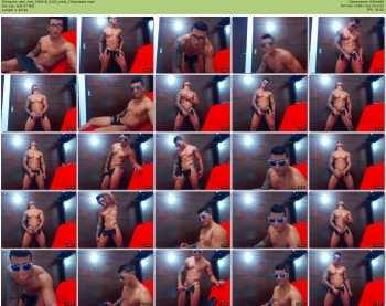 zion_hott
