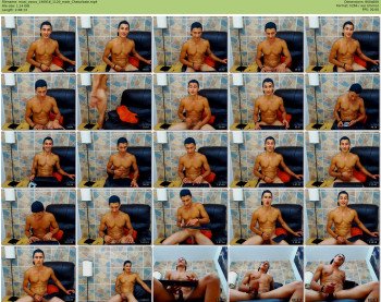maxi_vasco