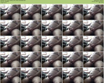 joe_2016