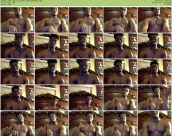 kingd_25