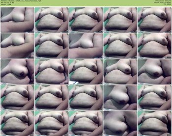 chub10