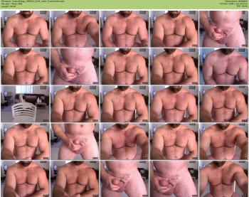 muscledogg