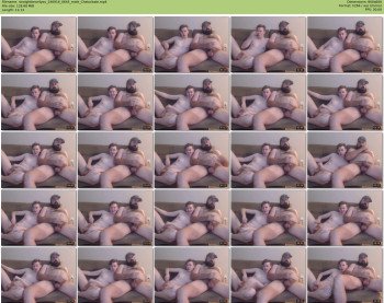 straightbear4you