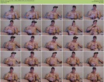 save_a_horse_ride_a_cowboy