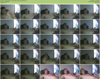 willymath356