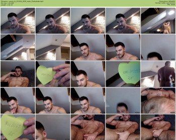 romeo_ib