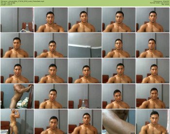 arlexstudhot