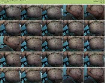 pusslicker00