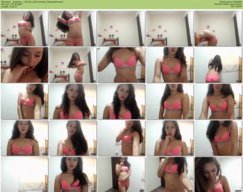 _angelica_