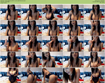 Wild_KittyCat