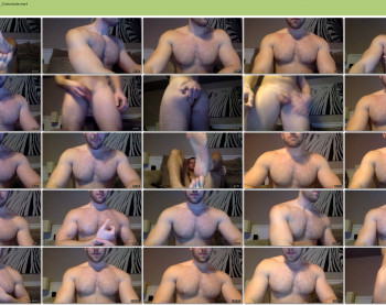 fitpitt