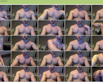 fitpitt