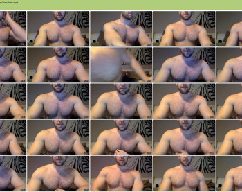 fitpitt