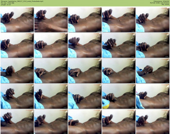 tigreblacko
