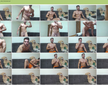 travischase