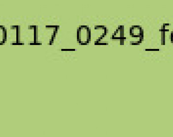 fina1234