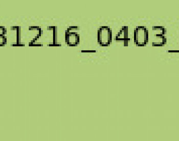 gingery777
