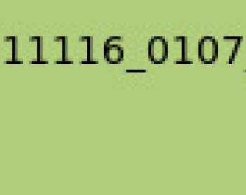 gtag19861