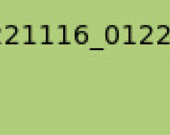 mike69111