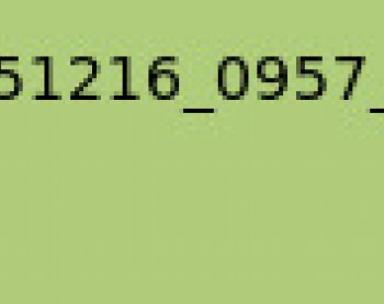 sindee2112