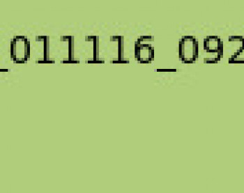 watchus696969