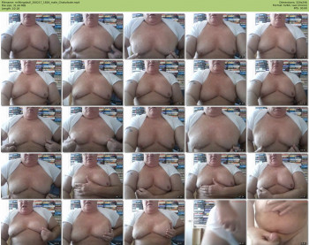 milkingabull
