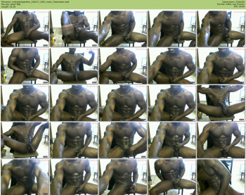 mrbigdickpanther