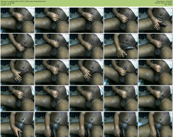 papabear365