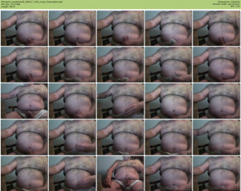 pusslicker00