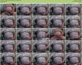 pusslicker00