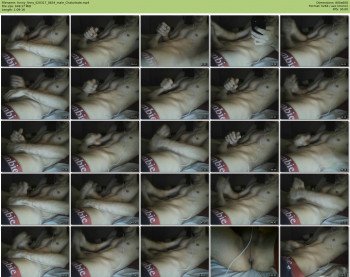 funny_finny