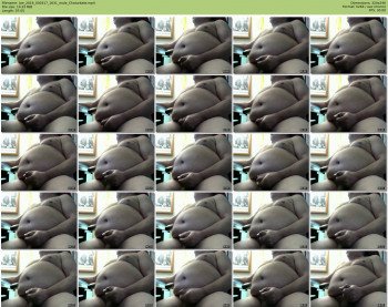 joe_2016