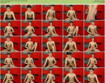 lestercollage